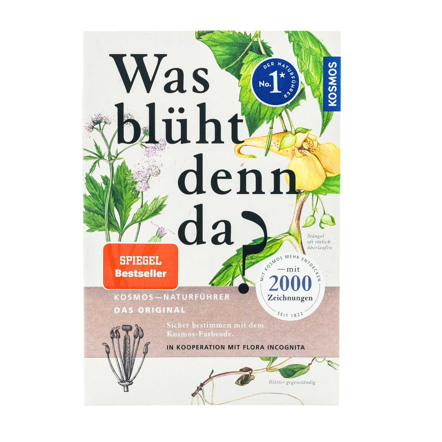 Buch - Was blüht denn da?