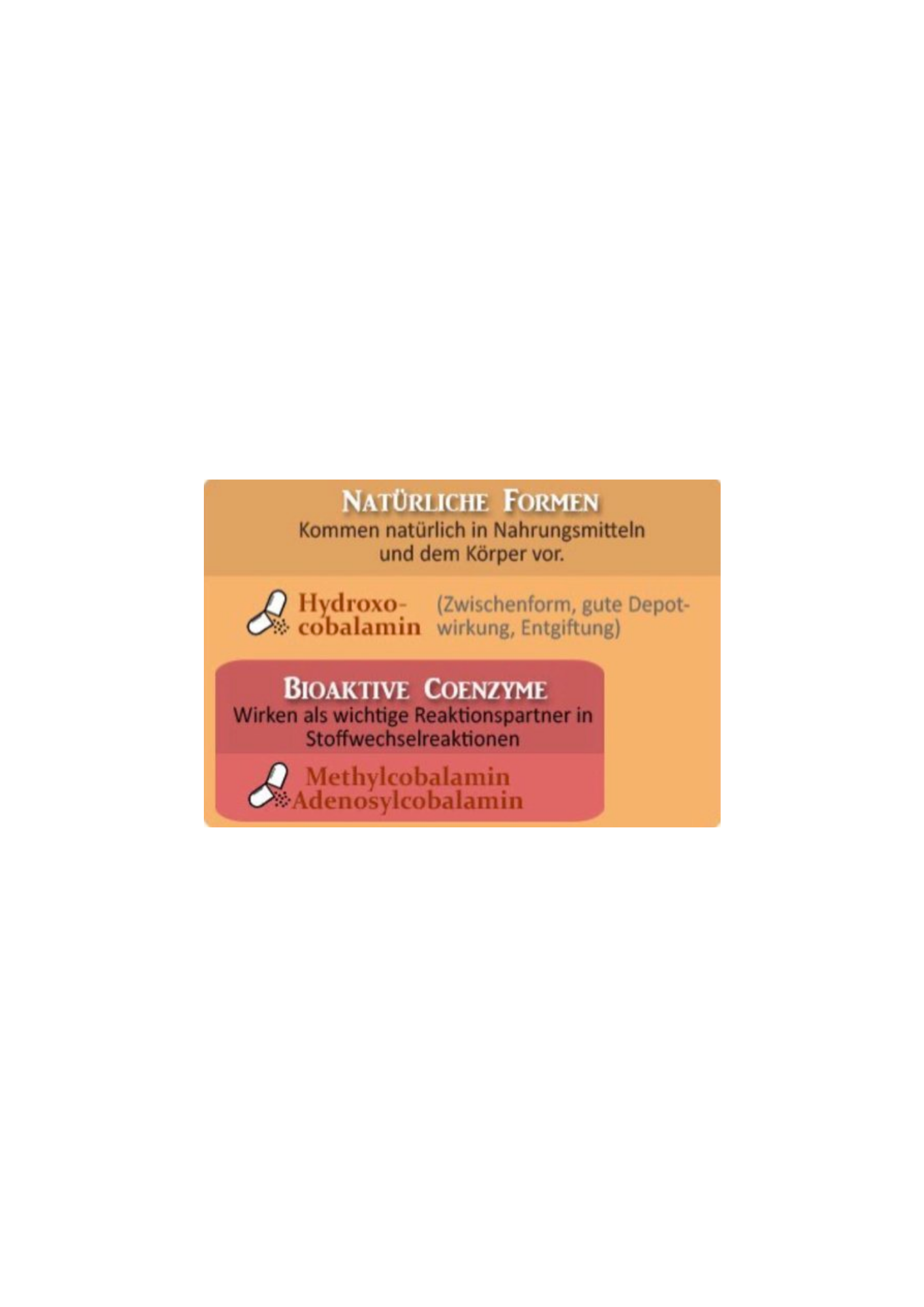 Vitamin B12 Komplex