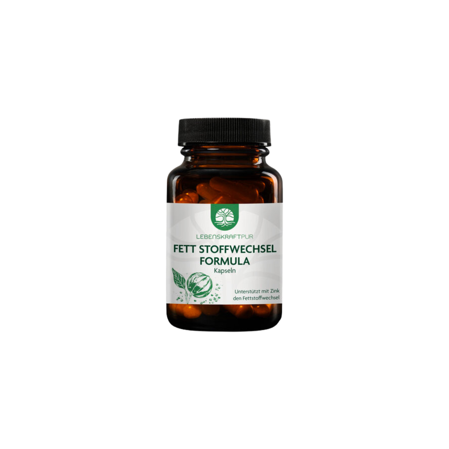 Fett Stoffwechsel Formula