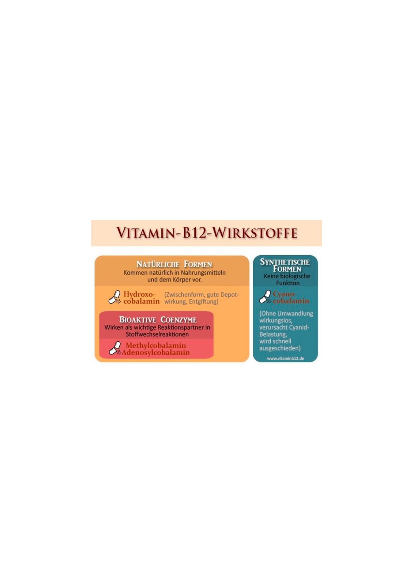 Vitamin B12 Komplex