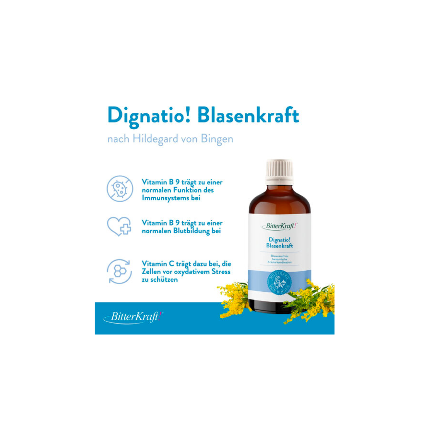Blasenkraft - Tropfen