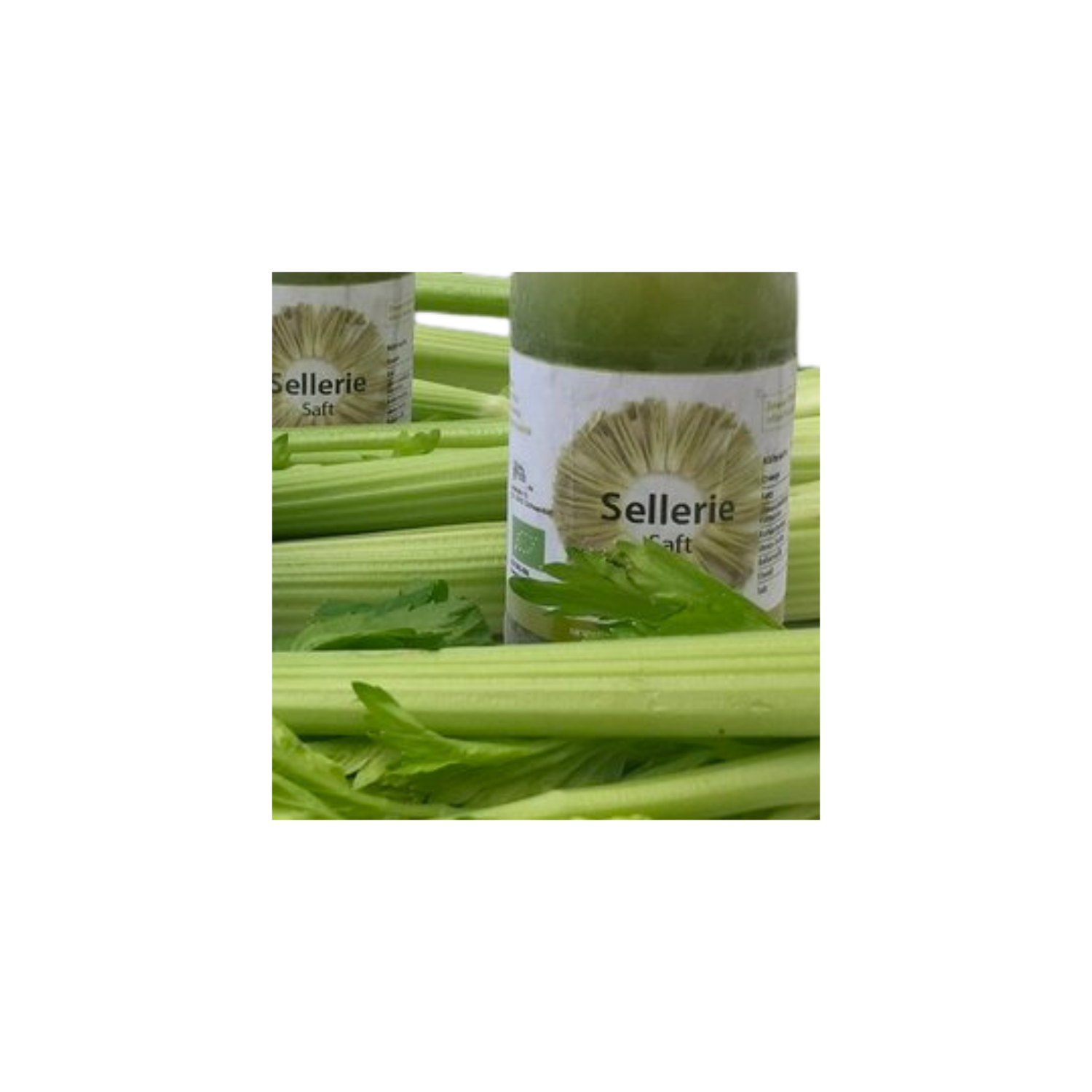 Sellerie Rohsaft