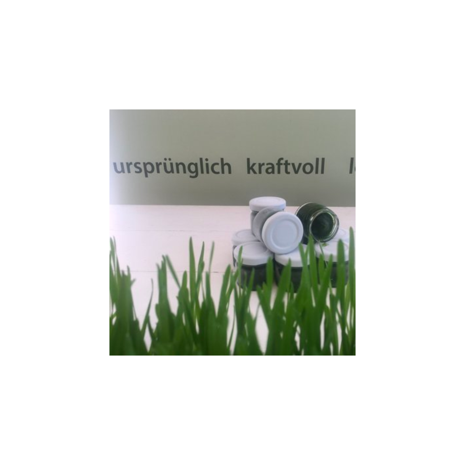 Weizengrassaft Dinkel
