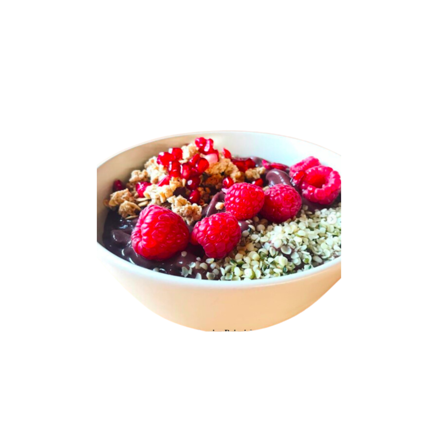Yaconsirup Bio